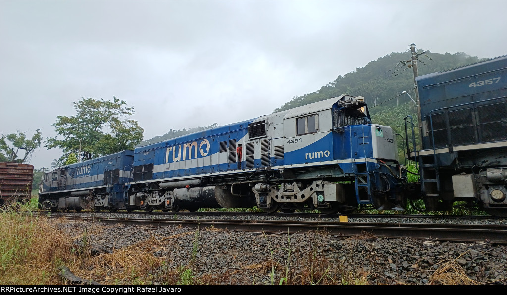 RUMO 4391